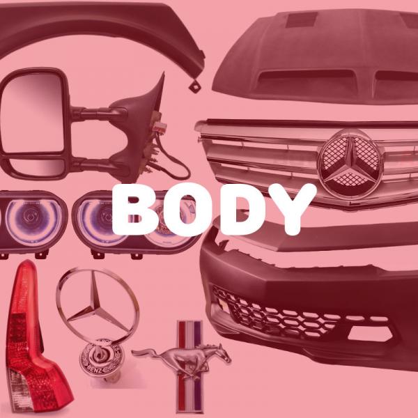 Body
